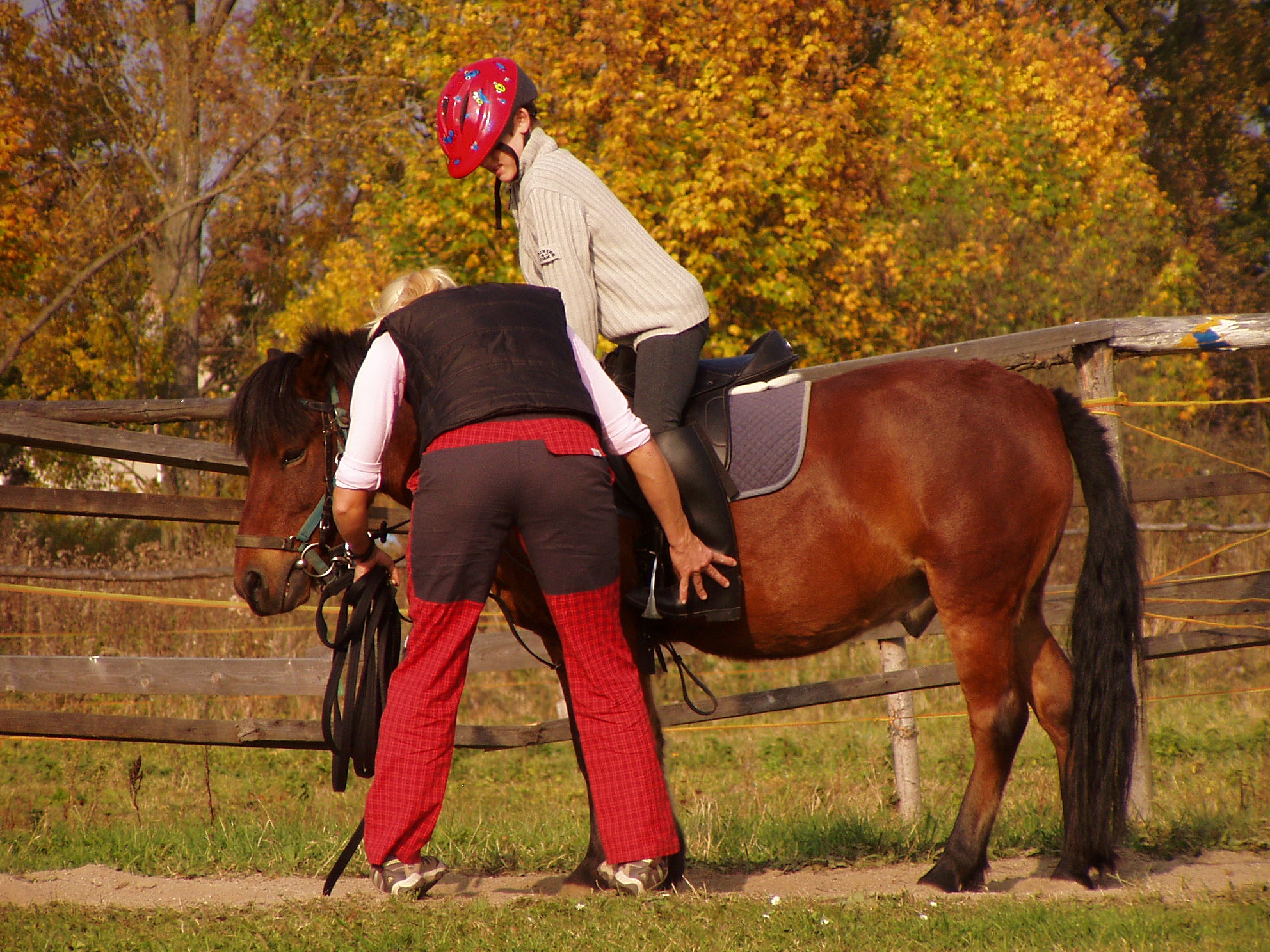 2008-10-10 Planá jízdárna (O,V,C) 044.jpg