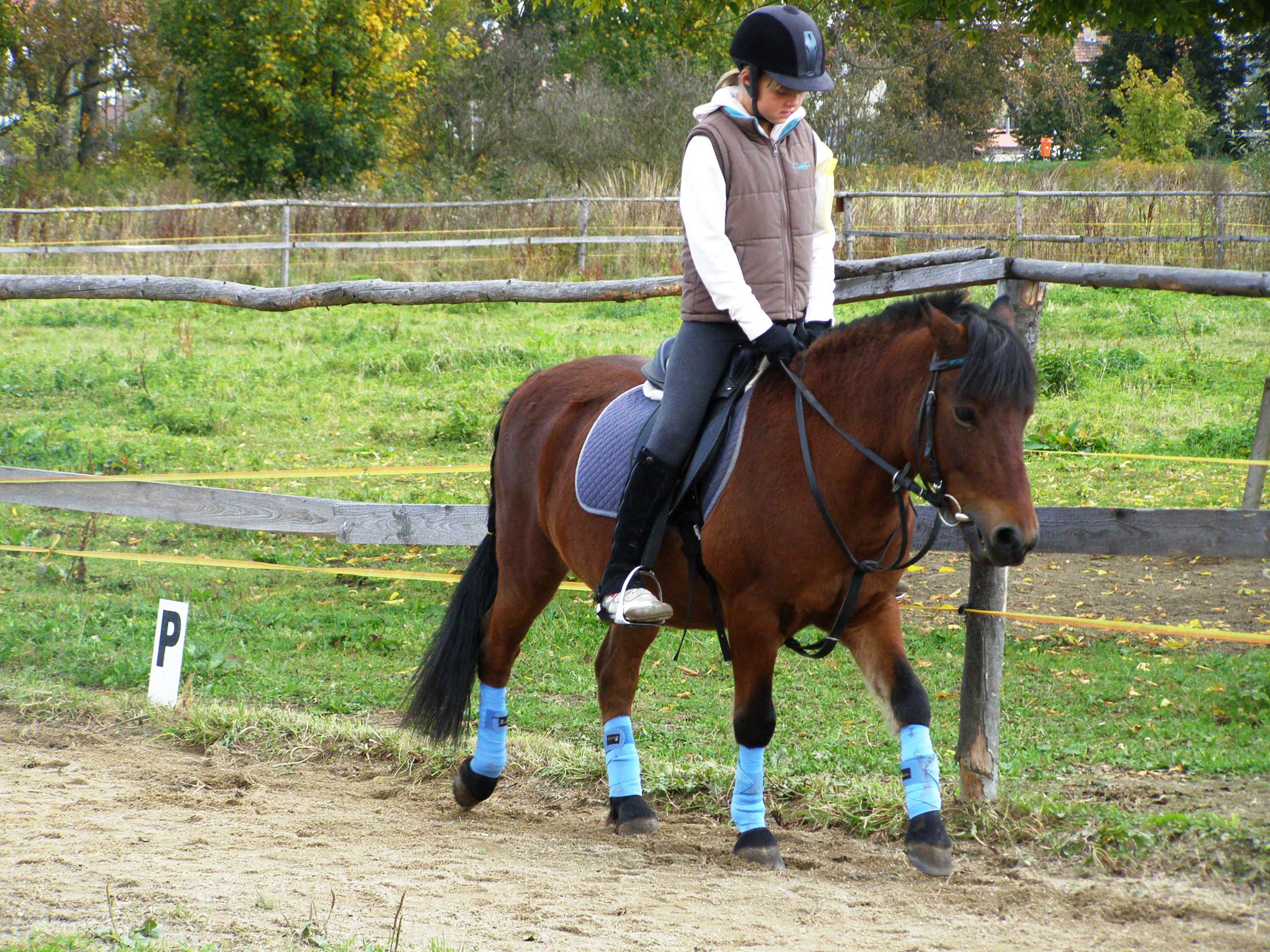 hubert2008lenka 127.jpg